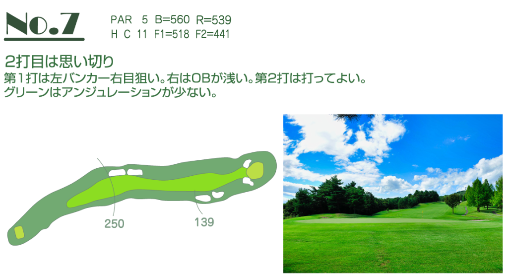 no.7ホール