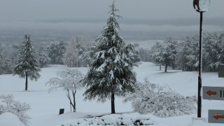 降雪のため12月1日より12月4日までクローズいたします。12月5日以降につきましては融雪状況より、再開・クローズのご案内をいたします。